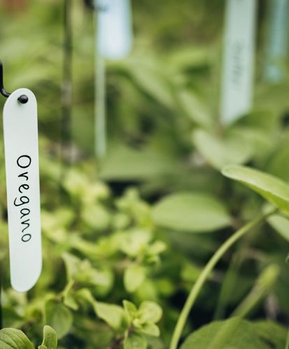 Kräutermarkt-Feldthurns_(c)Thomas-Rötting[5]